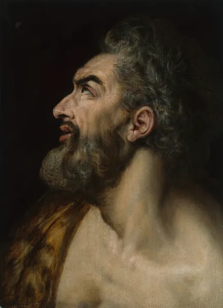 Study Head of a Bearded Man av Frans Floris