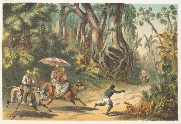 Cercanias de Baracoa av Pierre Toussaint Frédéric Mialhe