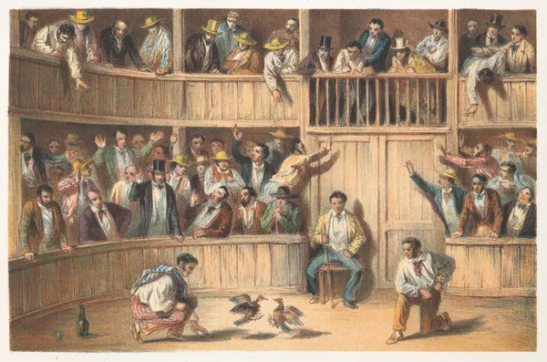 Valla de gallos av Pierre Toussaint Frédéric Mialhe