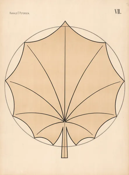 Elementary Freehand Drawing vol.2 Pl.07 av Harald Frithjof Petersen