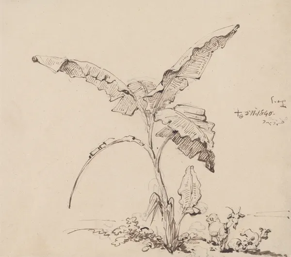 Goats Beneath a Banana Tree av George Chinnery