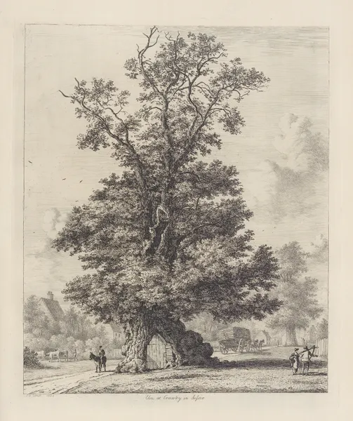 The Crawley Elm av Jacob George Strutt