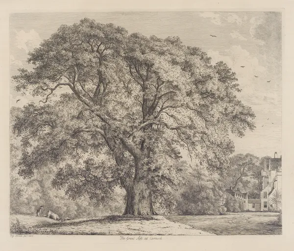 The Great Ash at Carnock av Jacob George Strutt
