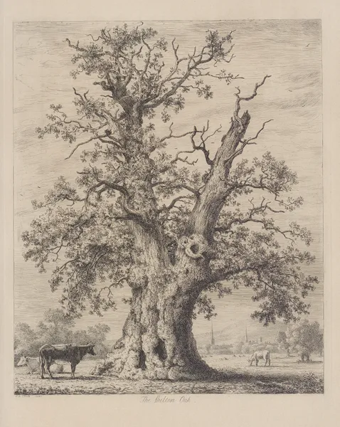The Shelton Oak av Jacob George Strutt