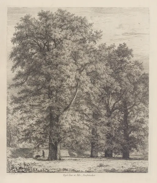 The Wych Elms at Polloc av Jacob George Strutt