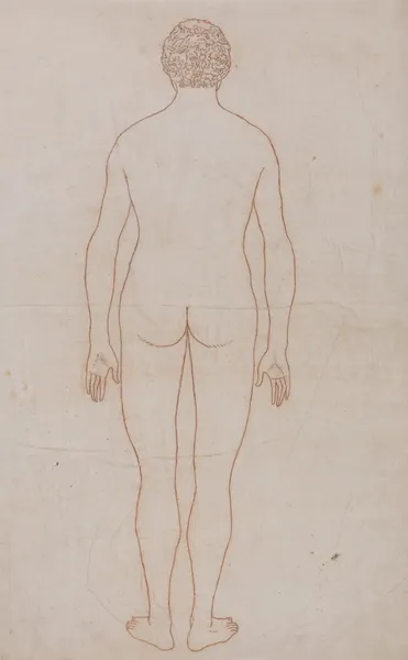 Human Body, Posterior View (1795 to 1806) av George Stubbs