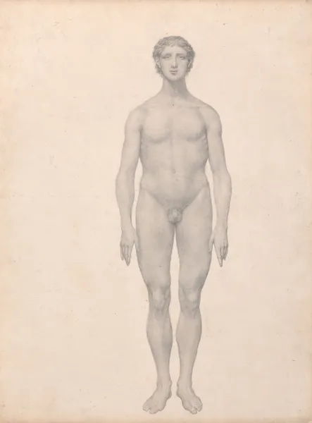 Human Figure, Anterior View, Undissected (1795 to 1806) av George Stubbs