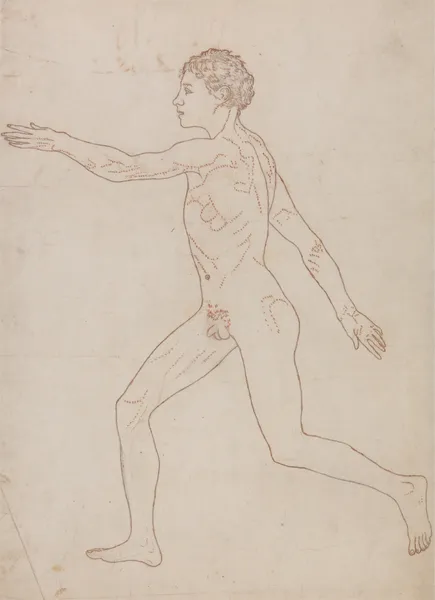 Human Figure, Lateral View (1795 to 1806) av George Stubbs
