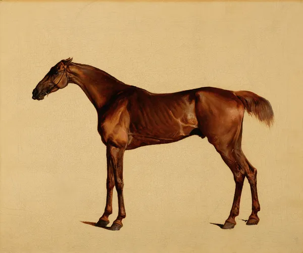 Pangloss av George Stubbs