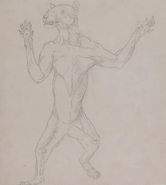 Tiger Body, Standing in Human Posture (1795 to 1806) av George Stubbs