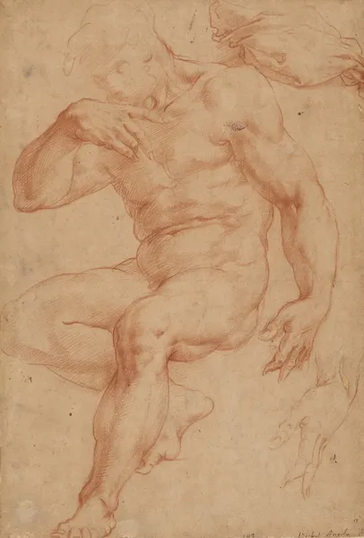 Studies of a Male Nude, a Drapery, and a Hand av Giorgio Vasari