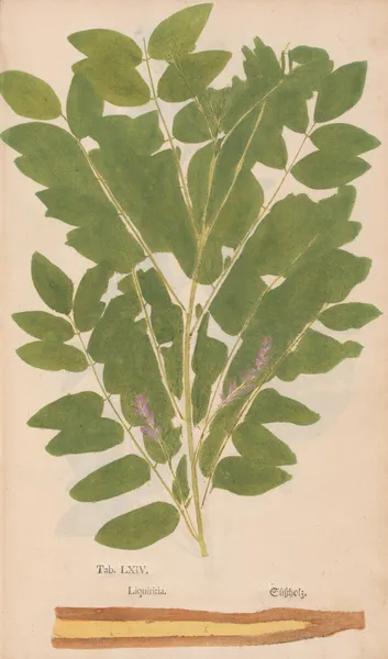 Ectypa vegetabilium Pl.064 av Christian Gottlieb Ludwig