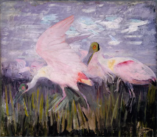 Roseate Spoonbills, study for book Concealing Coloration in the Animal Kingdom av Abbott Handerson Thayer