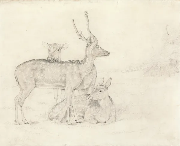A Herd of Deer Grazing in a Park av Sir Edwin Henry Landseer