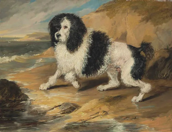 Tapageur, the Poodle belonging to the Honorable Frederick Byng av Sir Edwin Henry Landseer