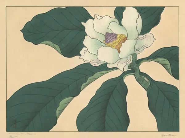 Cucumber tree flowers av Sakai Hōitsu
