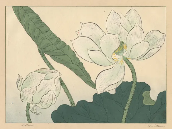 Lotus av Sakai Hōitsu