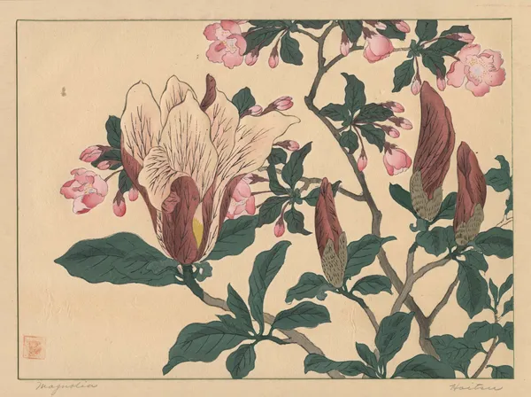Magnolia av Sakai Hōitsu