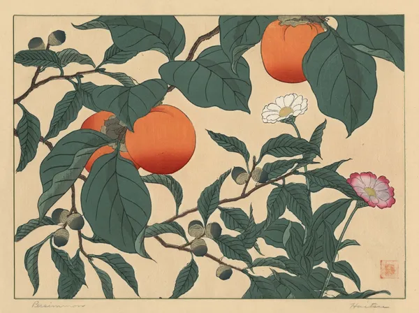 Persimmon av Sakai Hōitsu