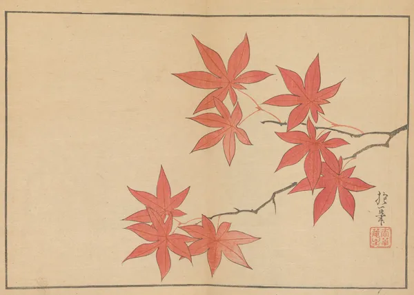 Sakai Hōitsu gajō, Pl.05 av Sakai Hōitsu