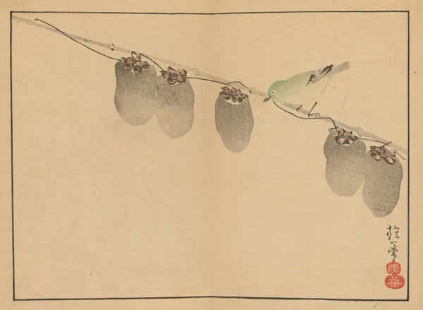 Sakai Hōitsu gajō, Pl.13 av Sakai Hōitsu