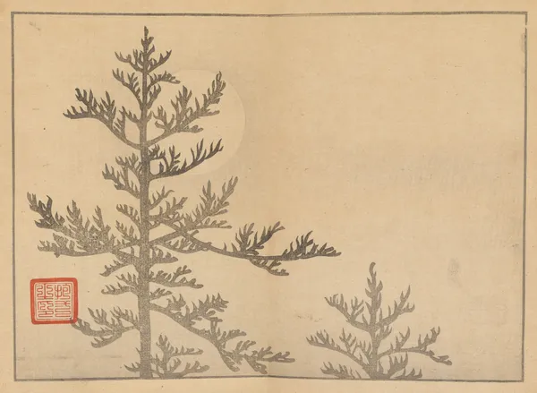 Sakai Hōitsu gajō, Pl.16 av Sakai Hōitsu