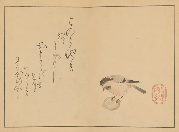 Sakai Hōitsu gajō, Pl.17 av Sakai Hōitsu