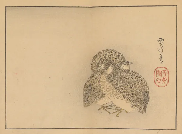Sakai Hōitsu gajō, Pl.20 av Sakai Hōitsu