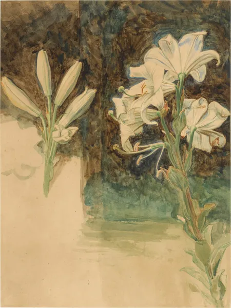 Study of Lilies for May Morning on Magdalen Tower av William Holman Hunt