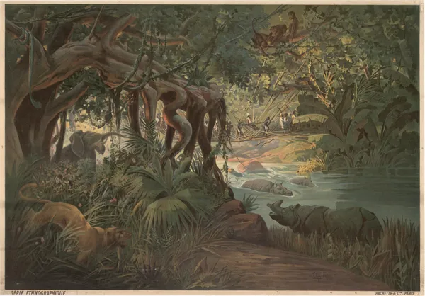 Tropical region (Congo) av Frederic Hugo d’Alési