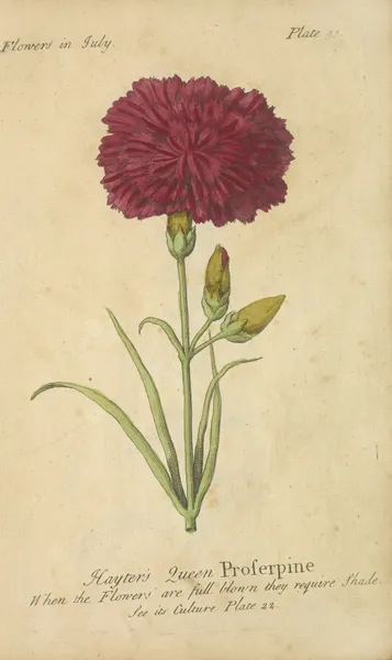 Hayter’s Queen Proserpine av J. Duke