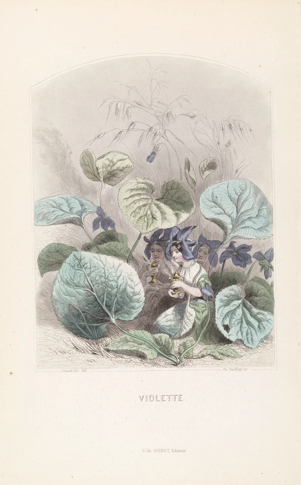 Violette av J. J. Grandville