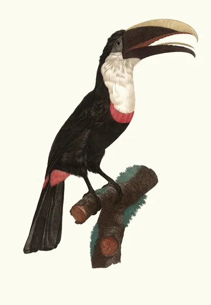 Le Tocards. av Jacques Barraband