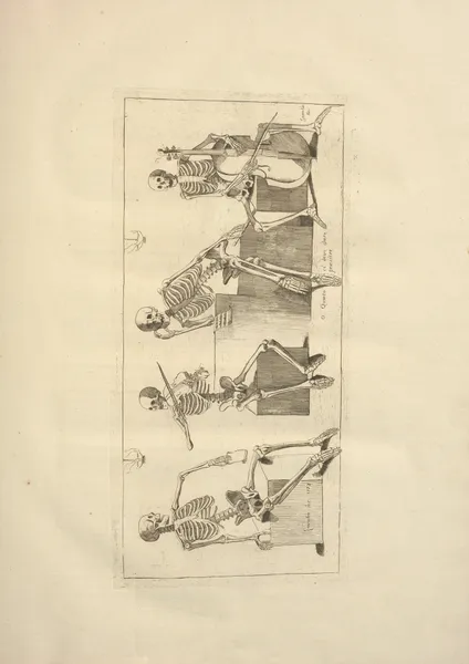 Nouveau recueil d’ostéologie et de myologie; dessiné d’après nature Pl.09 av Jacques Gamelin