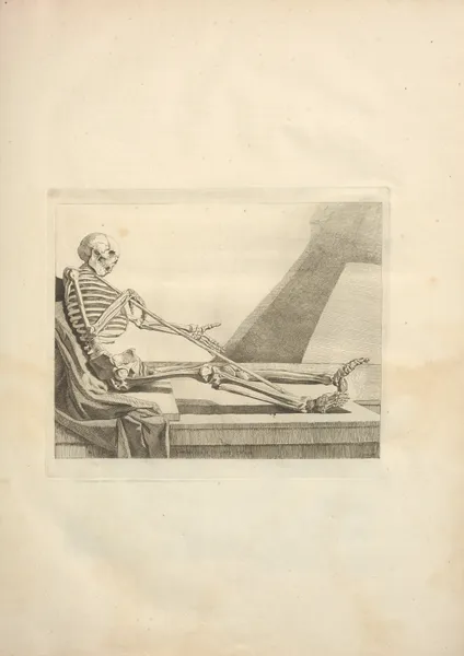 Nouveau recueil d’ostéologie et de myologie; dessiné d’après nature Pl.07 av Jacques Gamelin