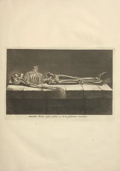Nouveau recueil d’ostéologie et de myologie; dessiné d’après nature Pl.06 av Jacques Gamelin