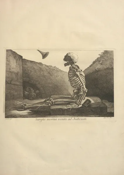 Nouveau recueil d’ostéologie et de myologie; dessiné d’après nature Pl.05 av Jacques Gamelin