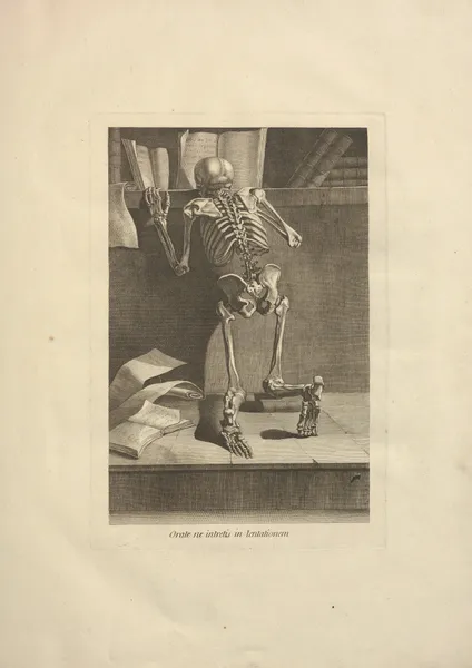 Nouveau recueil d’ostéologie et de myologie; dessiné d’après nature Pl.04 av Jacques Gamelin