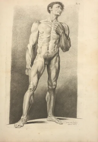Nouveau recueil d’ostéologie et de myologie; dessiné d’après nature Pl.40 av Jacques Gamelin