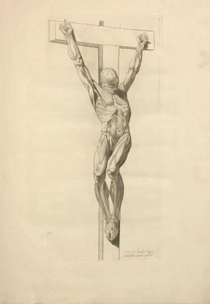 Nouveau recueil d’ostéologie et de myologie; dessiné d’après nature Pl.31 av Jacques Gamelin
