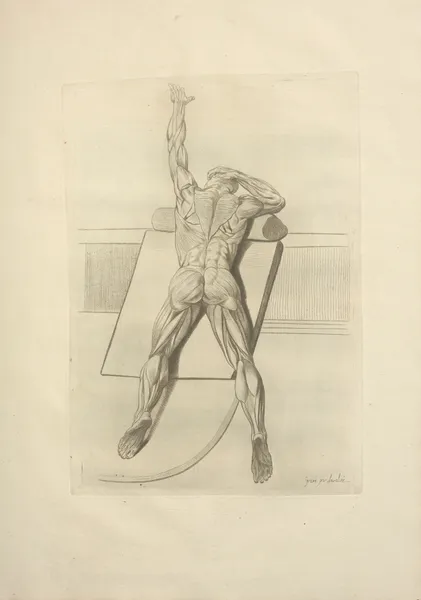 Nouveau recueil d’ostéologie et de myologie; dessiné d’après nature Pl.59 av Jacques Gamelin