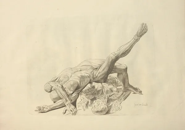 Nouveau recueil d’ostéologie et de myologie; dessiné d’après nature Pl.43 av Jacques Gamelin