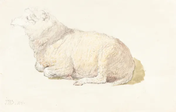 A Sheep Resting av James Ward