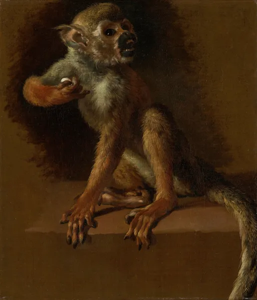 A Seated Monkey av Jan Weenix