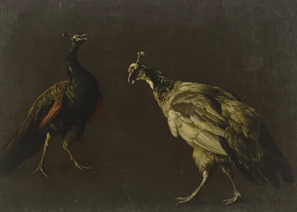 Peacock and peahen av Jan Weenix