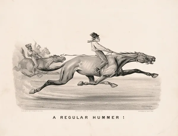 A regular hummer! av John Cameron