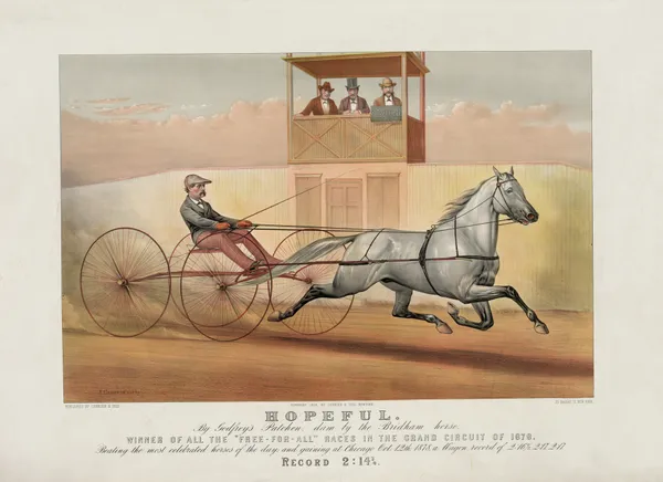 Hopeful; by Godfrey’s Patchen, dam by the Bridham horse av John Cameron