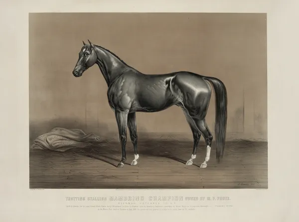 Trotting stallion Mambrino Champion owned by M.F. Foote av John Cameron