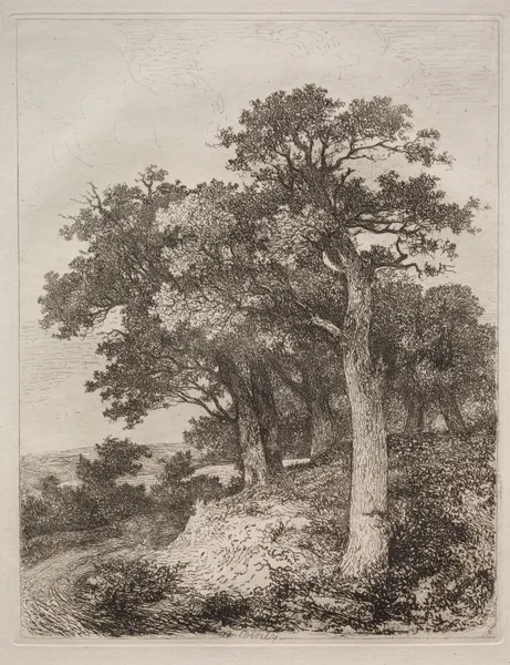 At Colney av John Crome