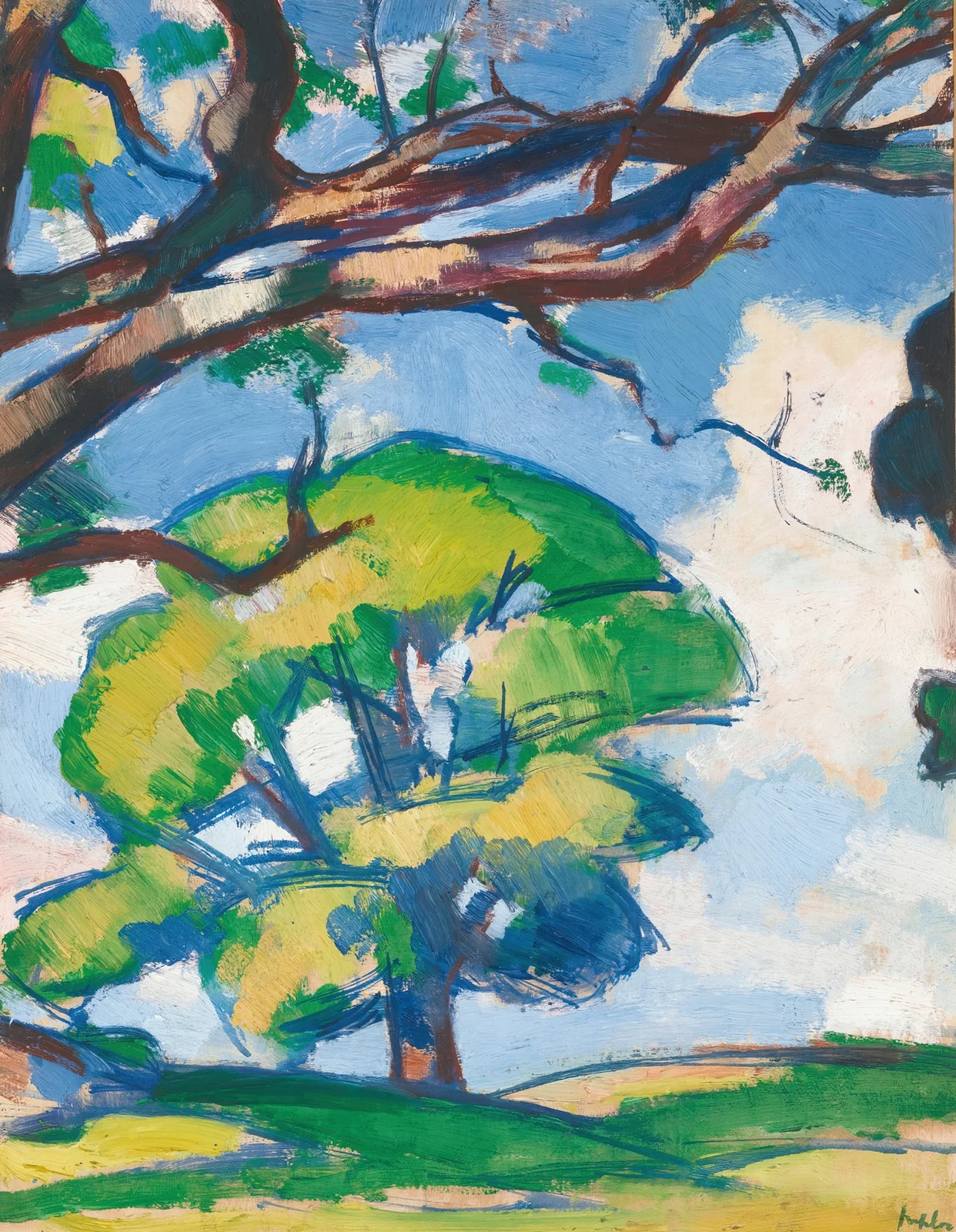 Trees, Douglas Hall av Samuel John Peploe